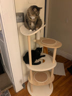 EcoPawPaw 124.5cm Japanese Minimalist Wooden Cat Tree – Modern Japandi Cat Tower with Scratching Post, Washable Pads & Perches