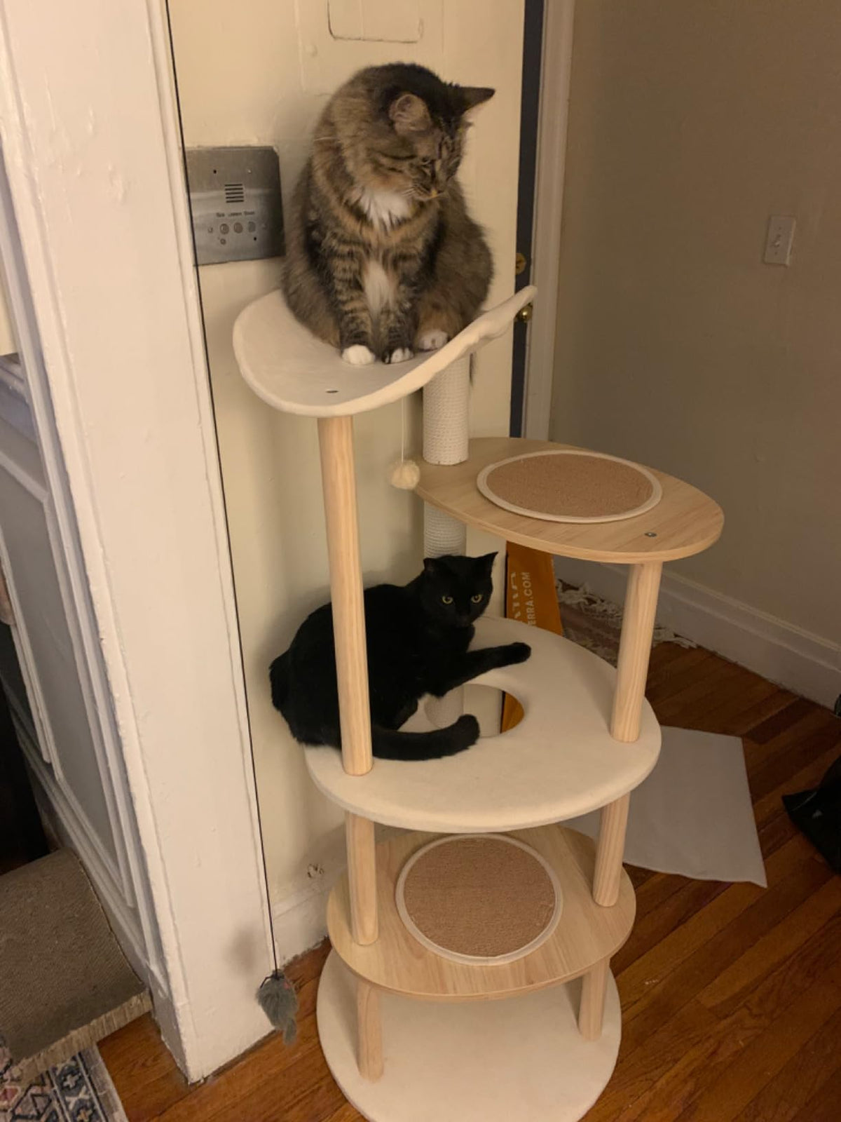 EcoPawPaw 124.5cm Japanese Minimalist Wooden Cat Tree – Modern Japandi Cat Tower with Scratching Post, Washable Pads & Perches