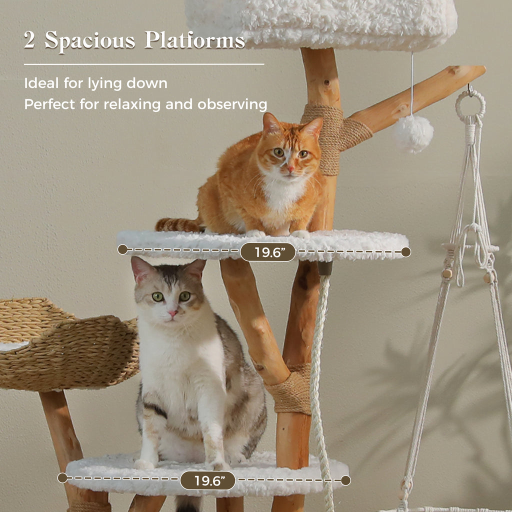 EcoPawPaw Luxury Natural Wood Cat Tree 180cm | Multi-Cat Tower