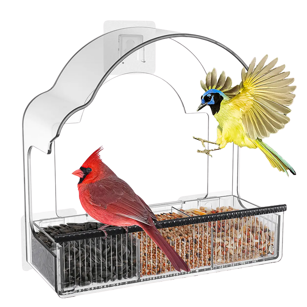EcoPawPaw Clear Window Bird Feeder– Acrylic Weatherproof Bird Feeder for Outdoor Bird Watching
