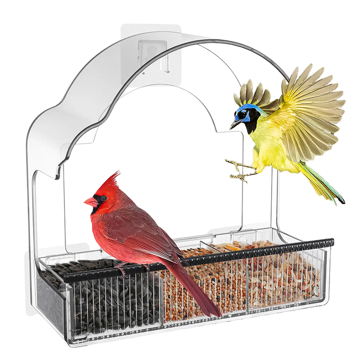 EcoPawPaw Clear Window Bird Feeder– Acrylic Weatherproof Bird Feeder for Outdoor Bird Watching