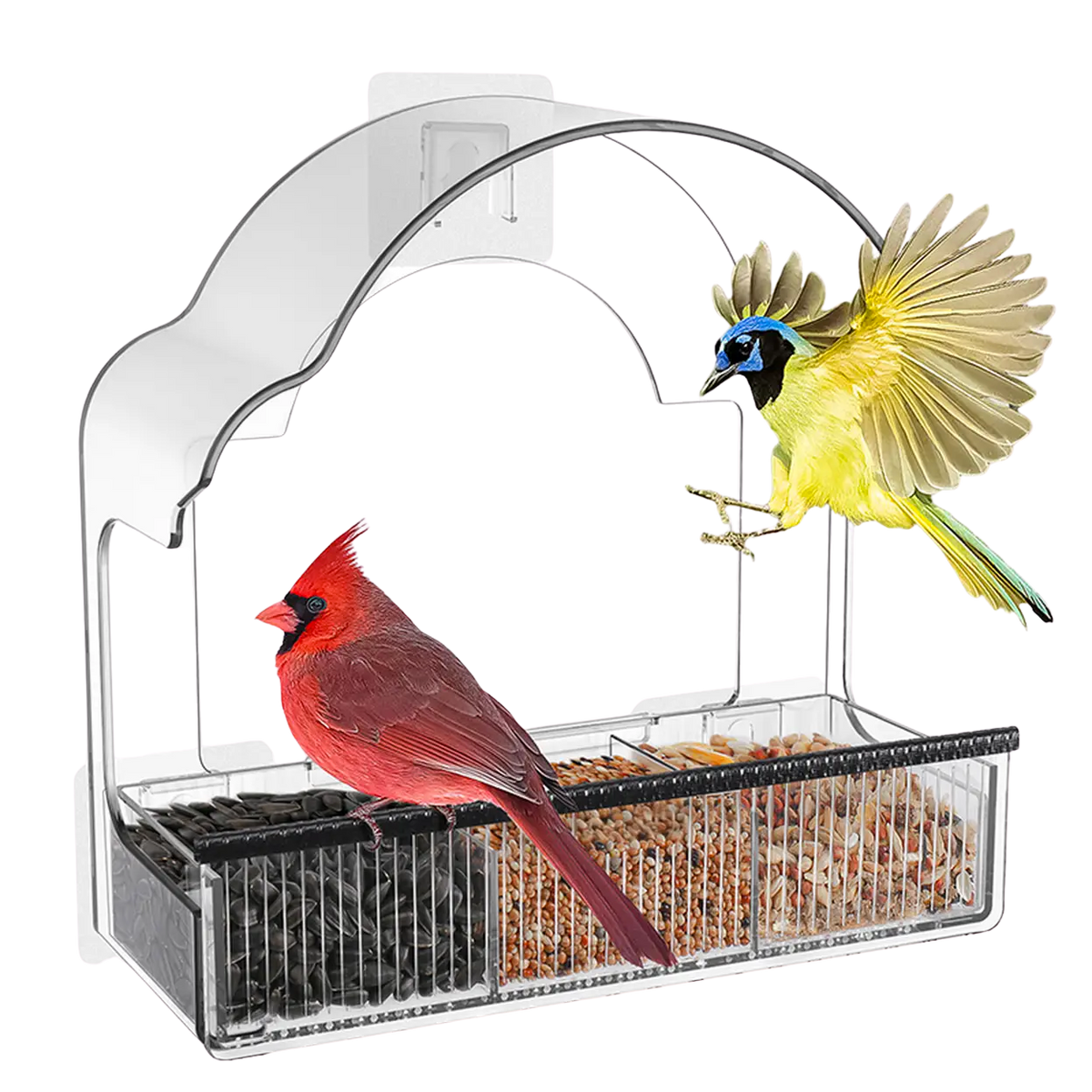 EcoPawPaw Clear Window Bird Feeder– Acrylic Weatherproof Bird Feeder for Outdoor Bird Watching