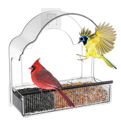 EcoPawPaw Clear Window Bird Feeder– Acrylic Weatherproof Bird Feeder for Outdoor Bird Watching