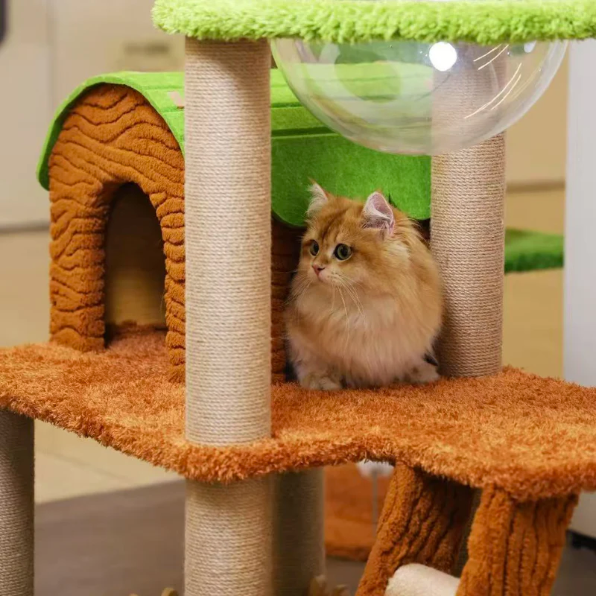 EcoPawPaw Forest Cottage Cat Tree Collection | Woodland Cat Tower with Cozy House, Scratching Posts & Lounge Bed