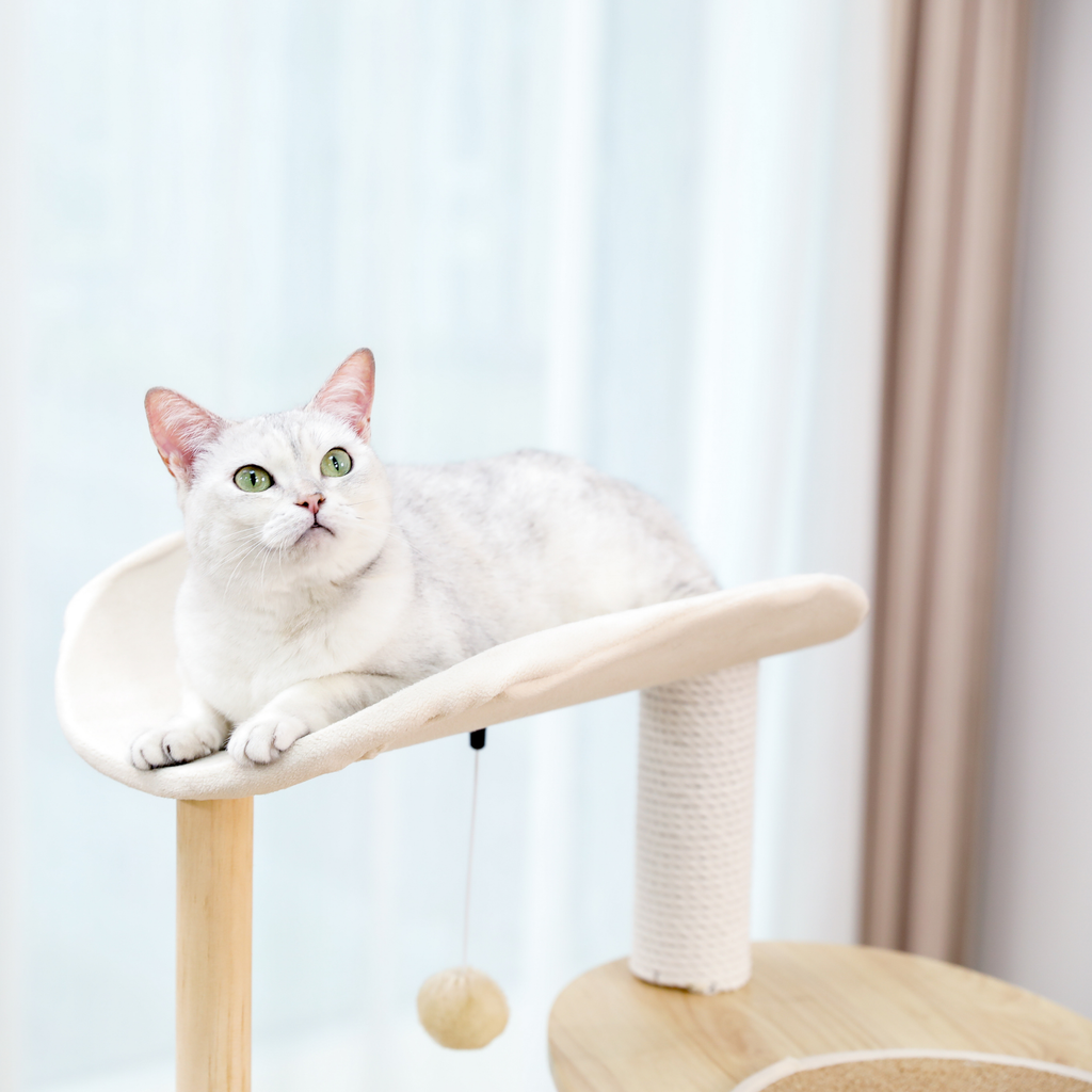 EcoPawPaw 124.5cm Japanese Minimalist Wooden Cat Tree – Modern Japandi Cat Tower with Scratching Post, Washable Pads & Perches
