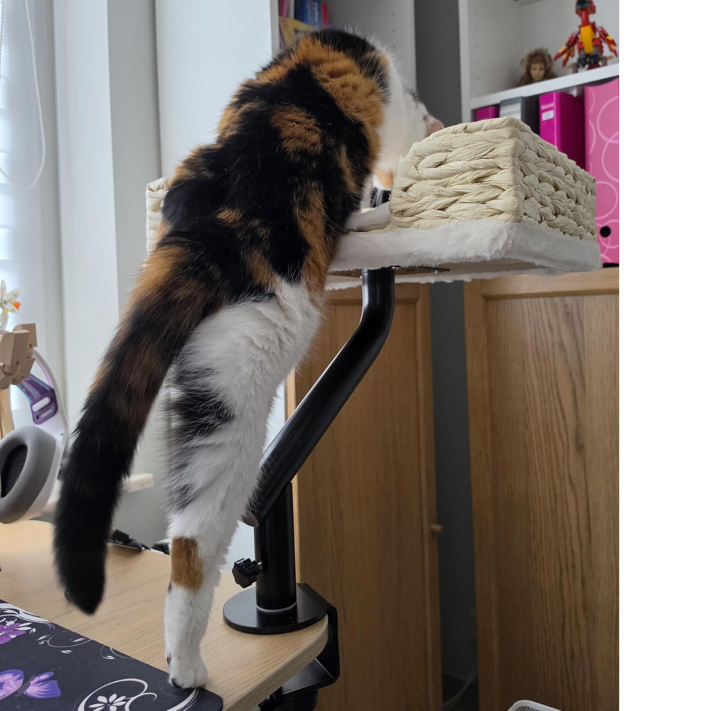 Desk Mounted Cat Bed with 360° Rotation – Handwoven Rattan Cat Perch for Office & Workstation | Clamp-On Cat Shelf (40×30cm)