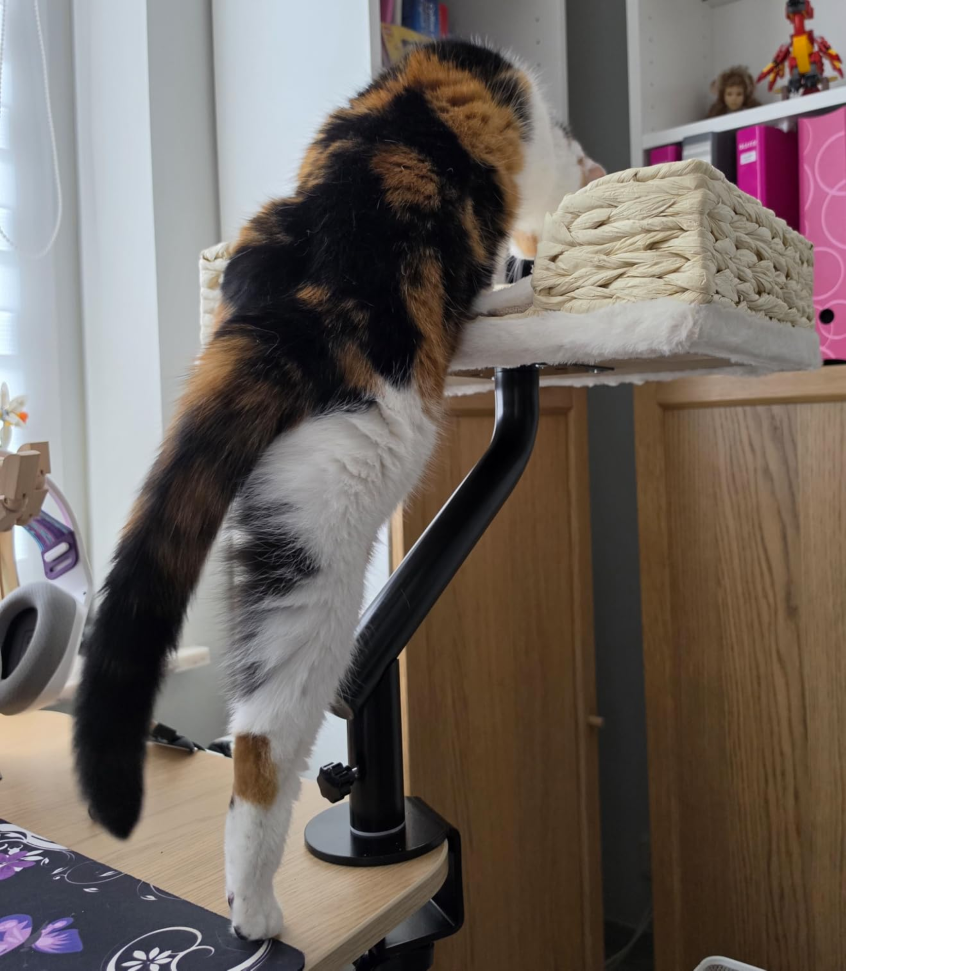 Desk Mounted Cat Bed with 360° Rotation – Handwoven Rattan Cat Perch for Office & Workstation | Clamp-On Cat Shelf (40×30cm)