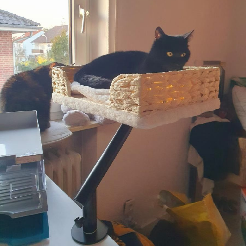 EcoPawPaw Handmade Woven Desk Cat Bed