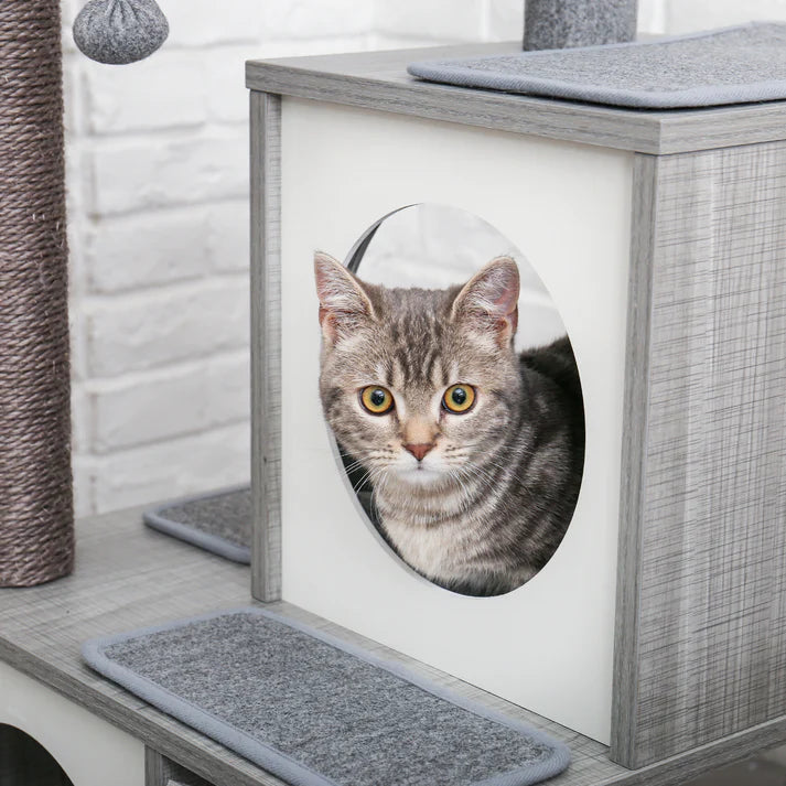 Cat looking out of the round opening of a grey cat condo