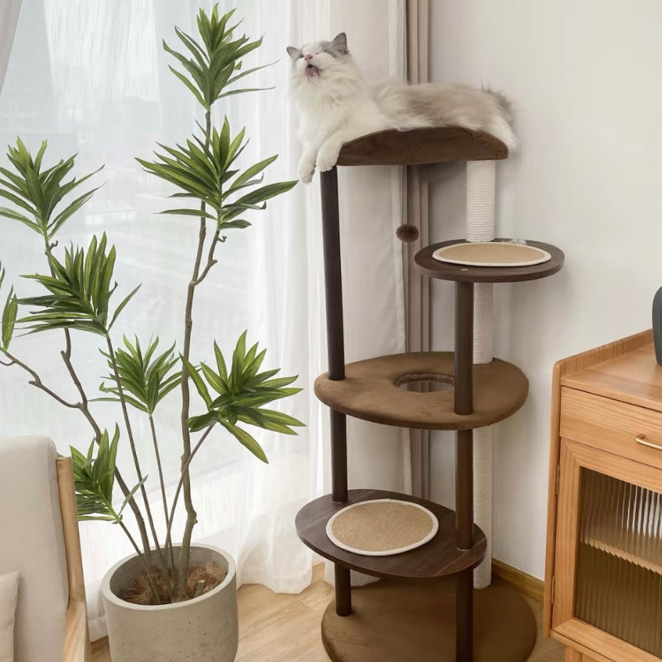 White cat resting on the curved top perch of a dark wooden cat tree
