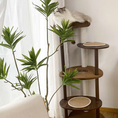 White cat on a dark wood cat tree beside a plant