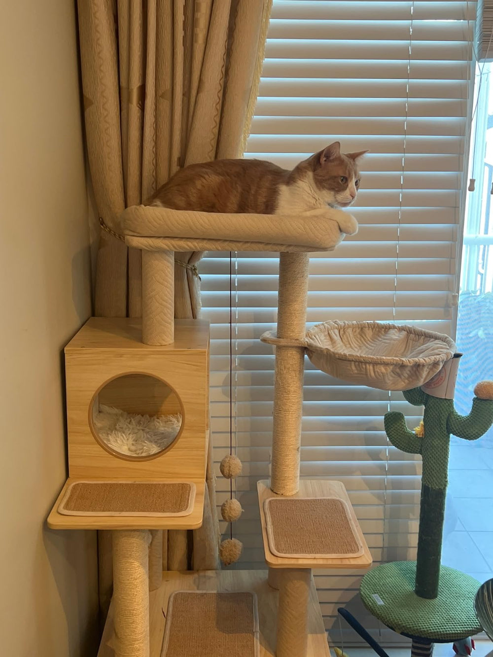 Cat resting on the top perch of a wooden cat tree beside a window