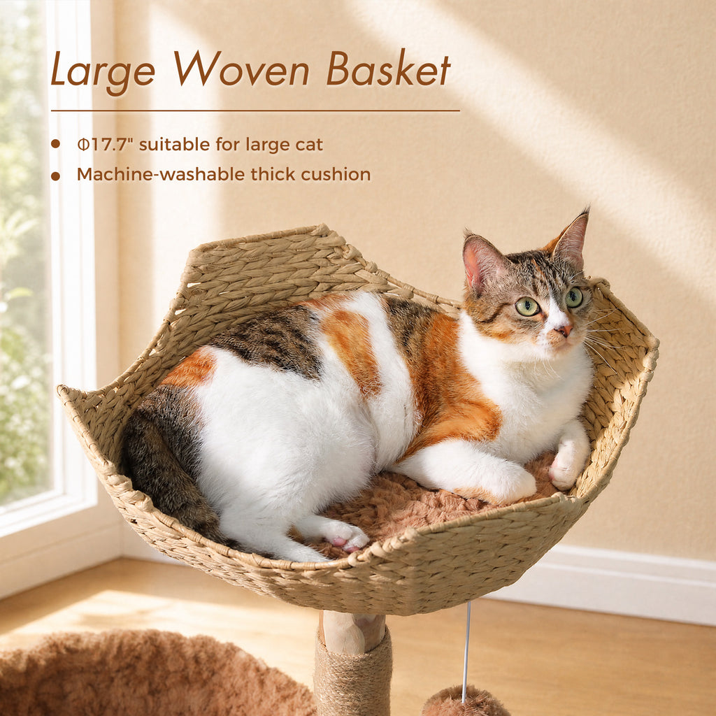 EcoPawPaw 102cm Natural Wood Cat Tree with Woven Basket & Cozy Cat House