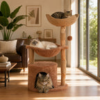 EcoPawPaw 102cm Natural Wood Cat Tree with Woven Basket & Cozy Cat House