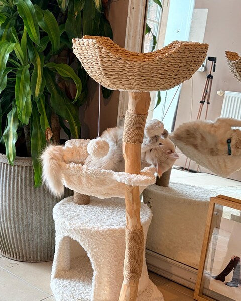 Modern Wooden Cat Tree with Woven Basket & Condo