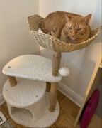 Natural Wood Cat Tree with Deep Wicker Basket