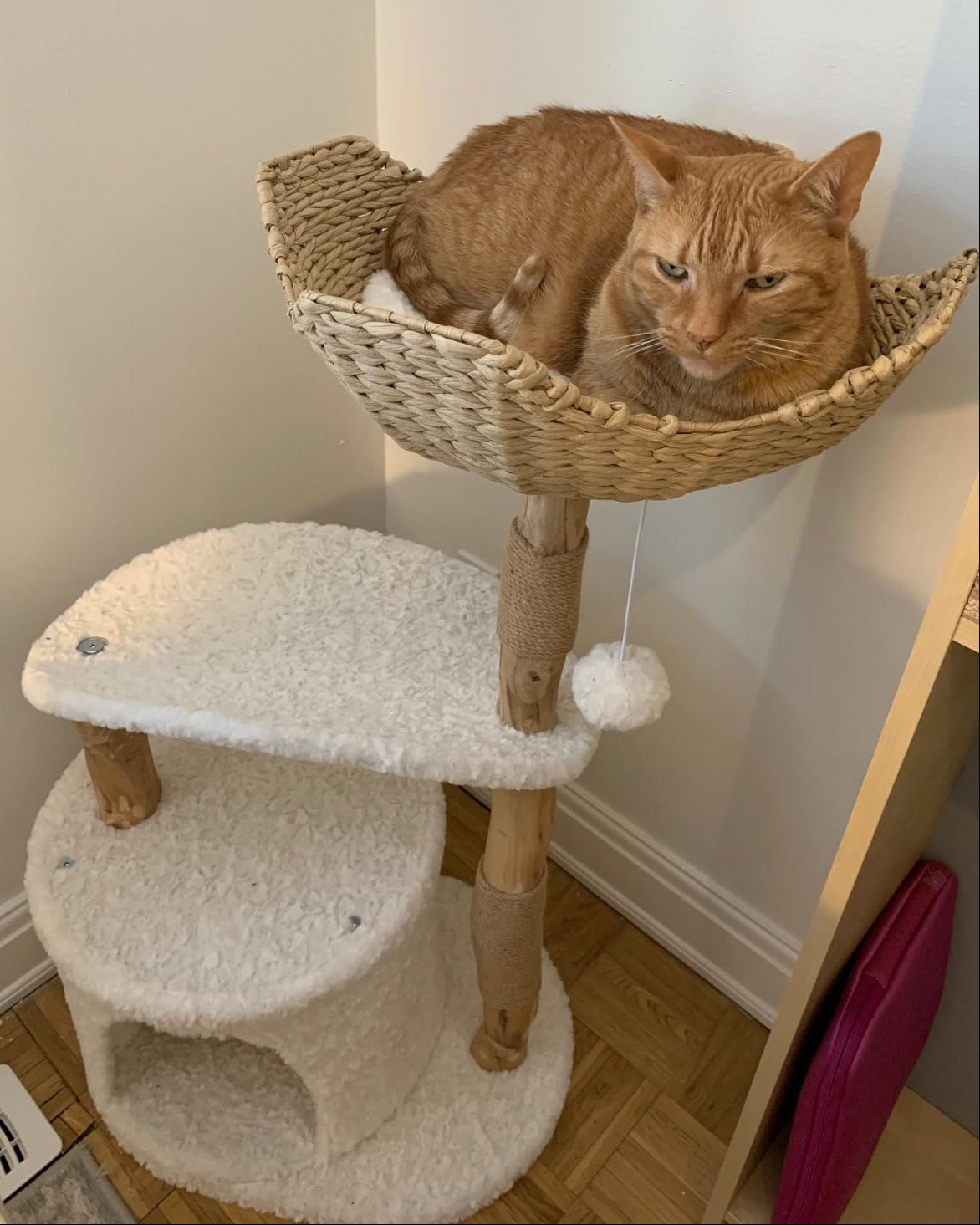 Natural Wood Cat Tree with Deep Wicker Basket