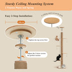 EcoPawPaw Solid Wood Floor-to-Ceiling Cat Tree