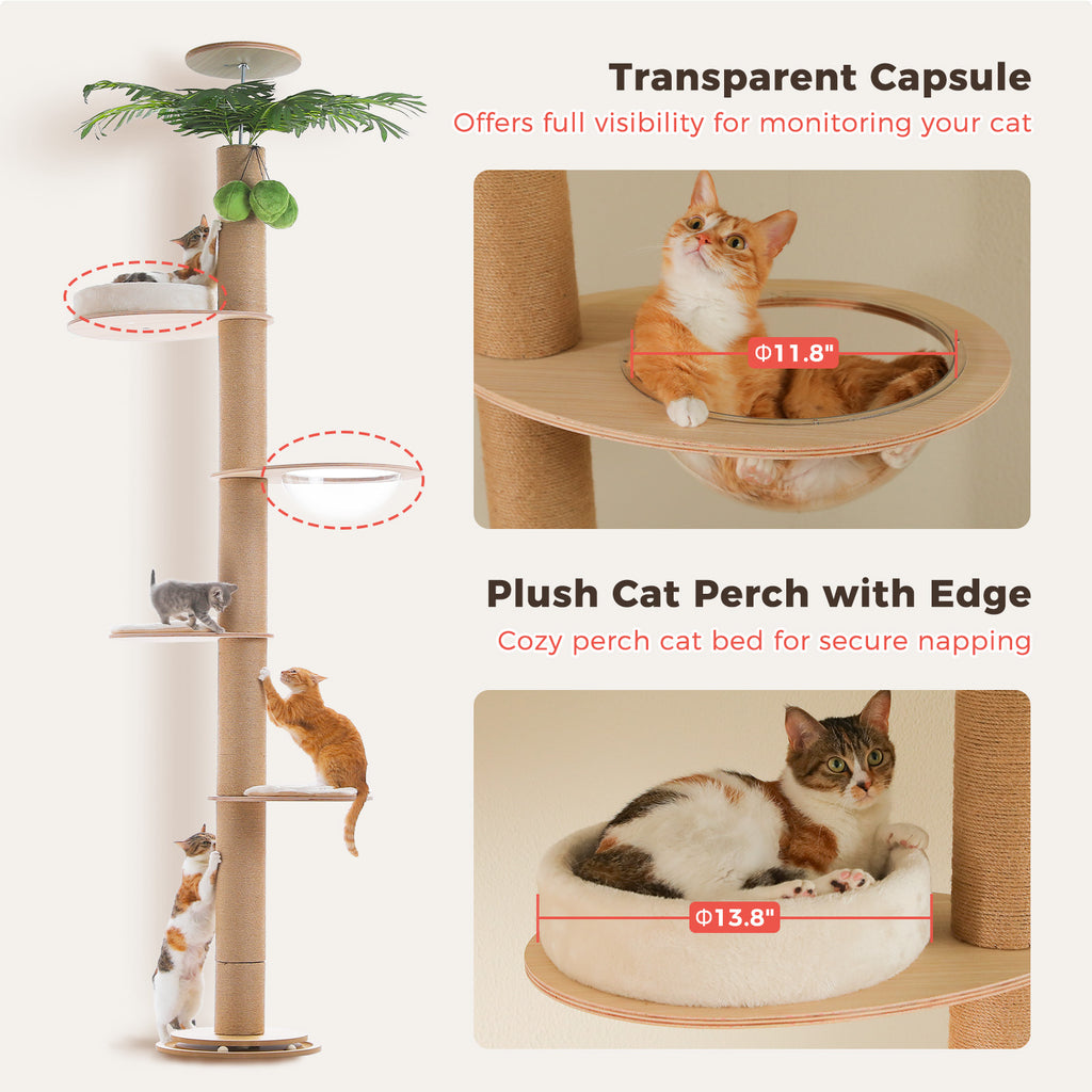 EcoPawPaw Adjustable Floor-to-Ceiling Cat Tree 245–305 cm – Tall Wooden Cat Tower with 10.5 cm Thick Sisal Post, Clear Capsule & Adjustable Platforms