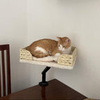 EcoPawPaw Handmade Woven Desk Cat Bed