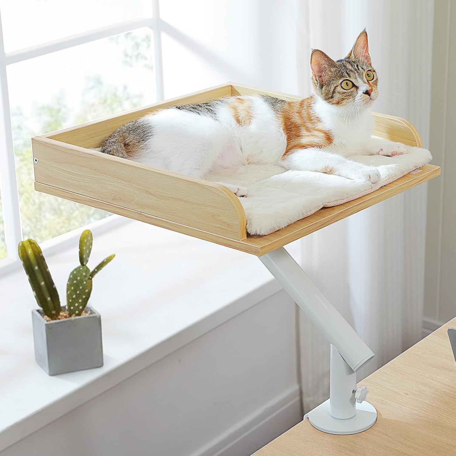 EcoPawPaw Wooden Desk Cat Bed