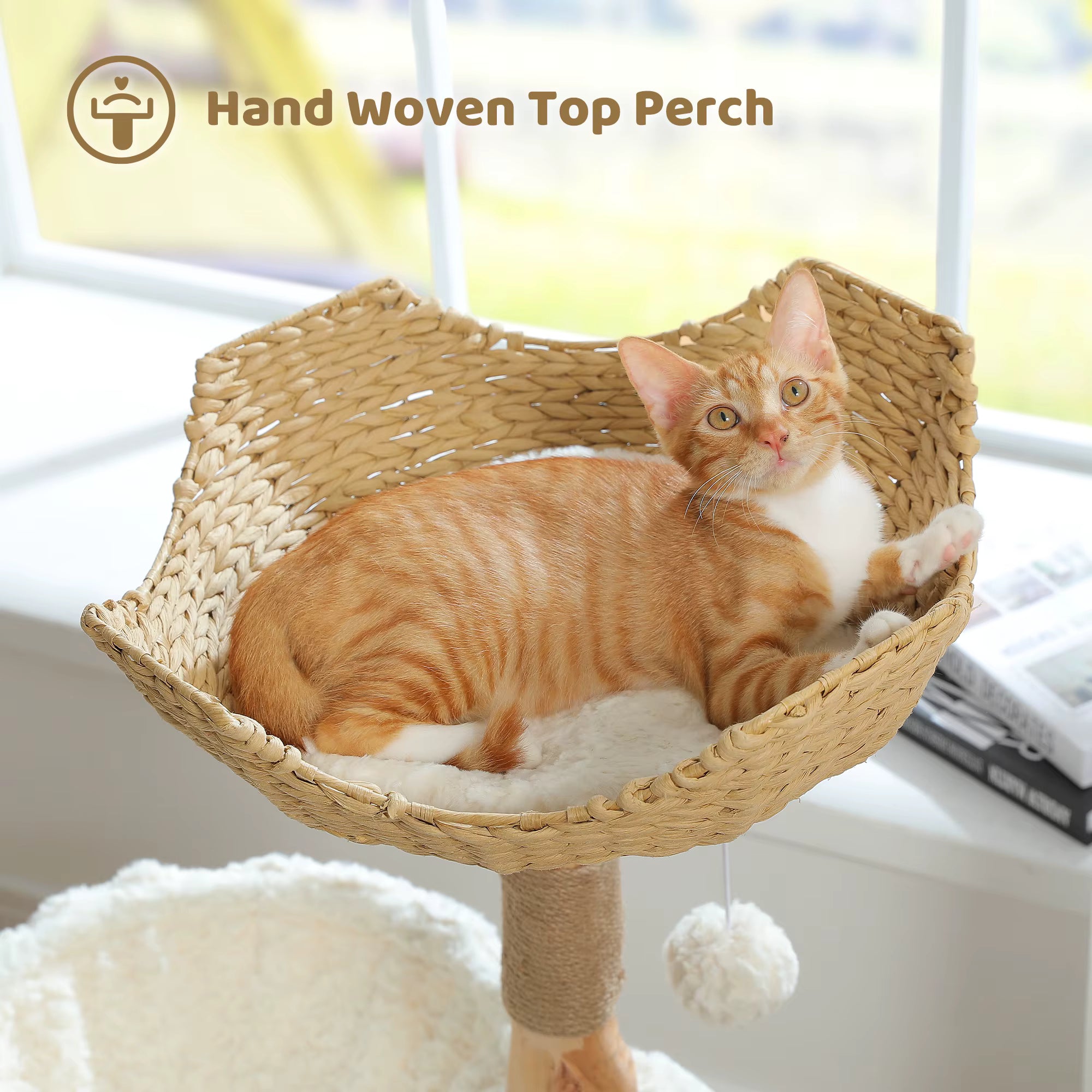 Cat resting in the handwoven top basket of a wooden cat tree