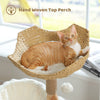 Cat resting in the handwoven top basket of a wooden cat tree