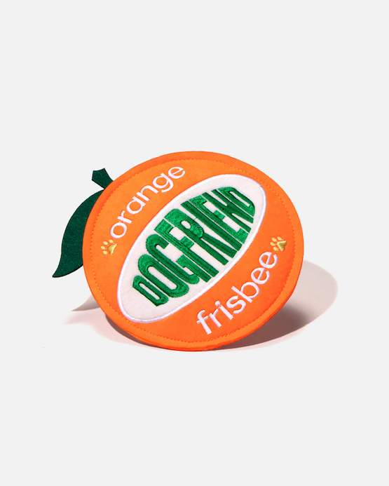 Orange-shaped dog flying disc standing at an angle