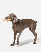 Suede Orange Dog Frisbee Toy