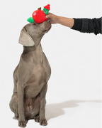Apple Plush Hide & Seek Dog Toy