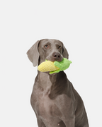 Plush Corn Dog Toy with Squeaker & Crinkle Paper