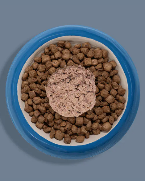 Bowl of dry pet food topped with canned food