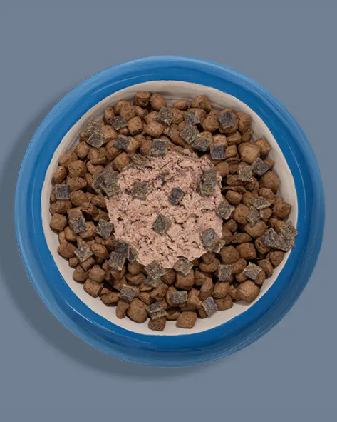 Bowl of dry pet food with canned food and air-dried pieces