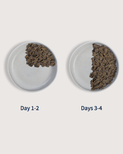 Food transition illustration showing smaller and larger portions for days 1–4