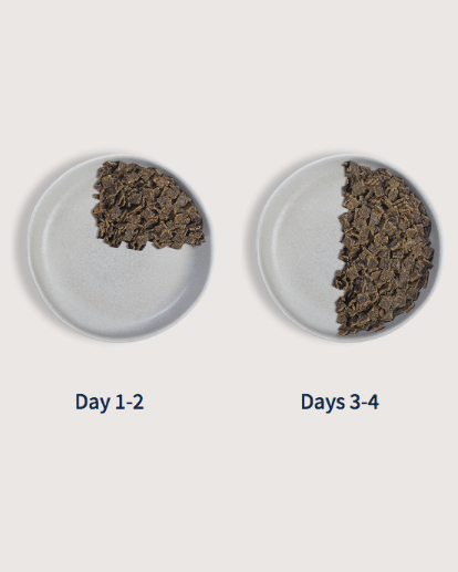 Food transition illustration showing smaller and larger portions for days 1–4