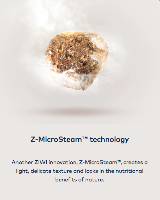 Graphic describing ZIWI MicroSteam technology