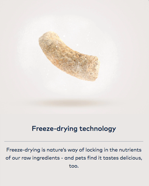 Graphic explaining freeze-drying technology with a food piece