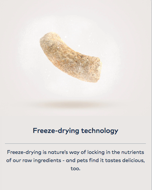 Graphic explaining freeze-drying technology with a food piece