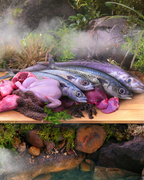 Ziwi Peak Cat Steam & Dried South Pacific Fish Recipe