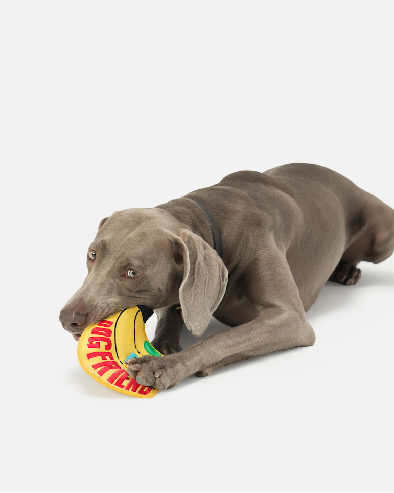 Eco Suede Banana Flying Disc Dog Toy