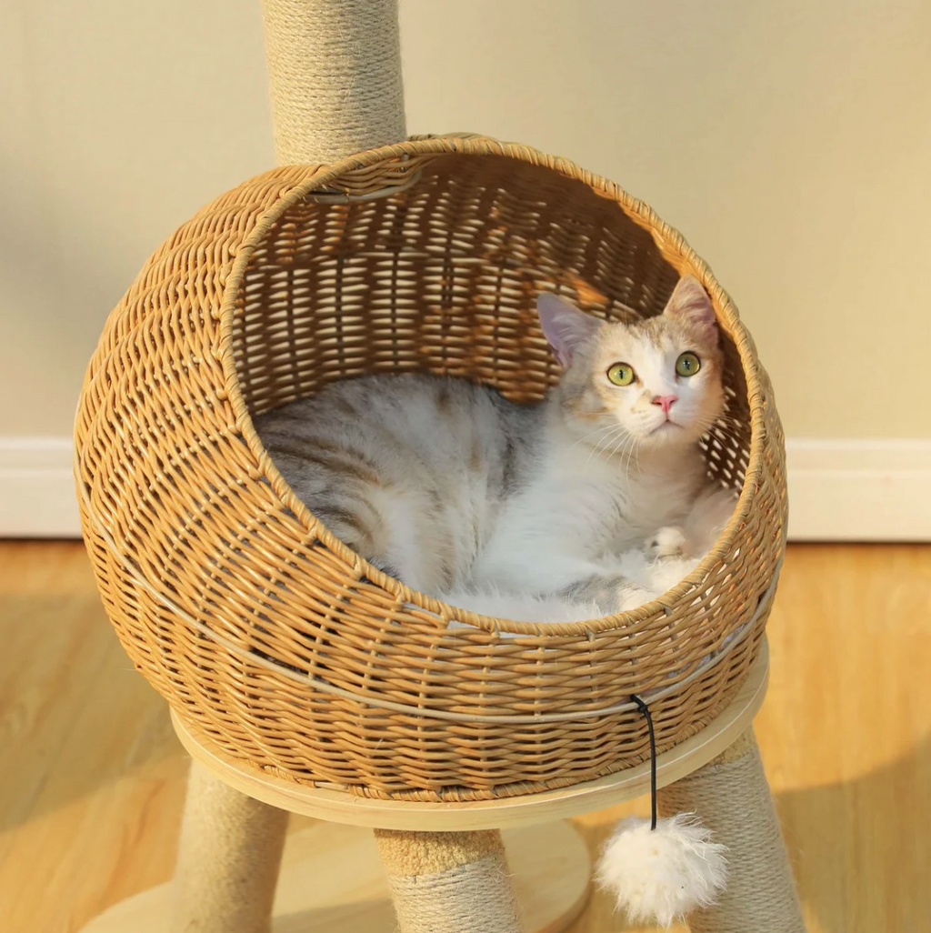 Handwoven Rattan Dinosaur Cat Tree