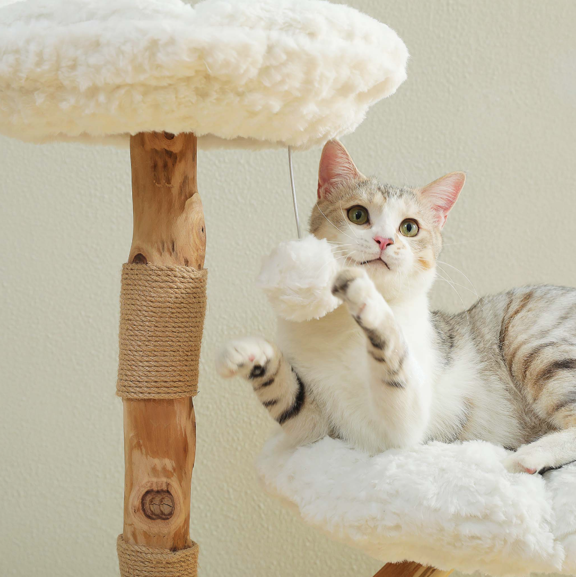 Cat playing with a hanging ball on a wooden cat tree