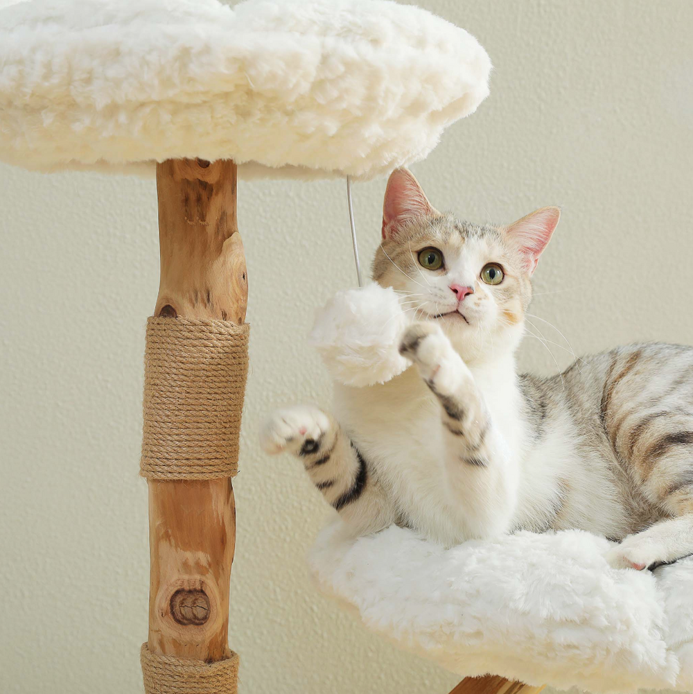Cat playing with a hanging ball on a wooden cat tree