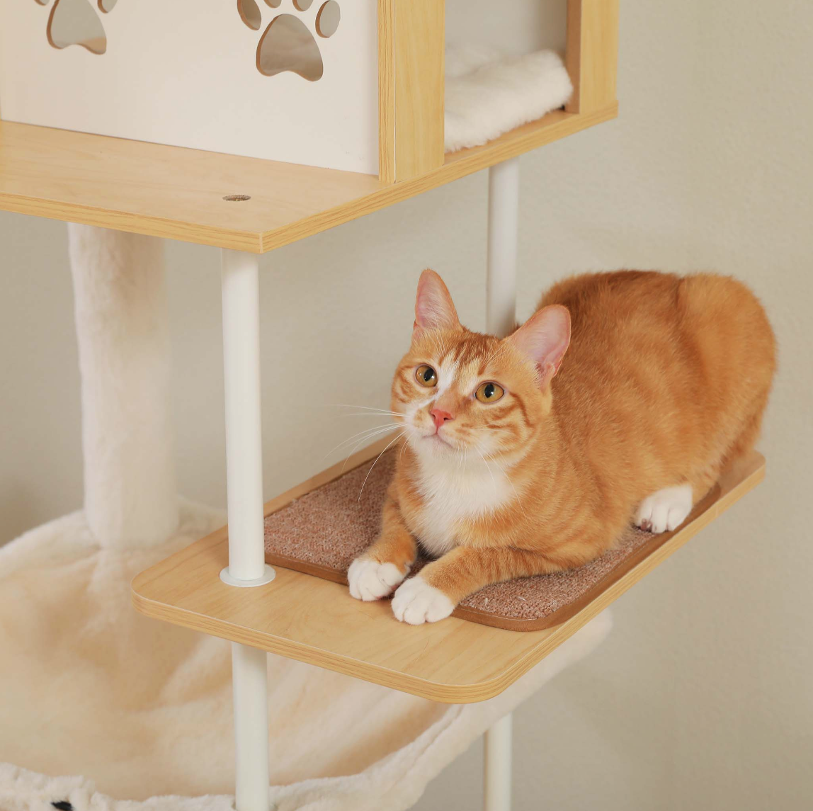 Orange cat resting on a cat tree platform