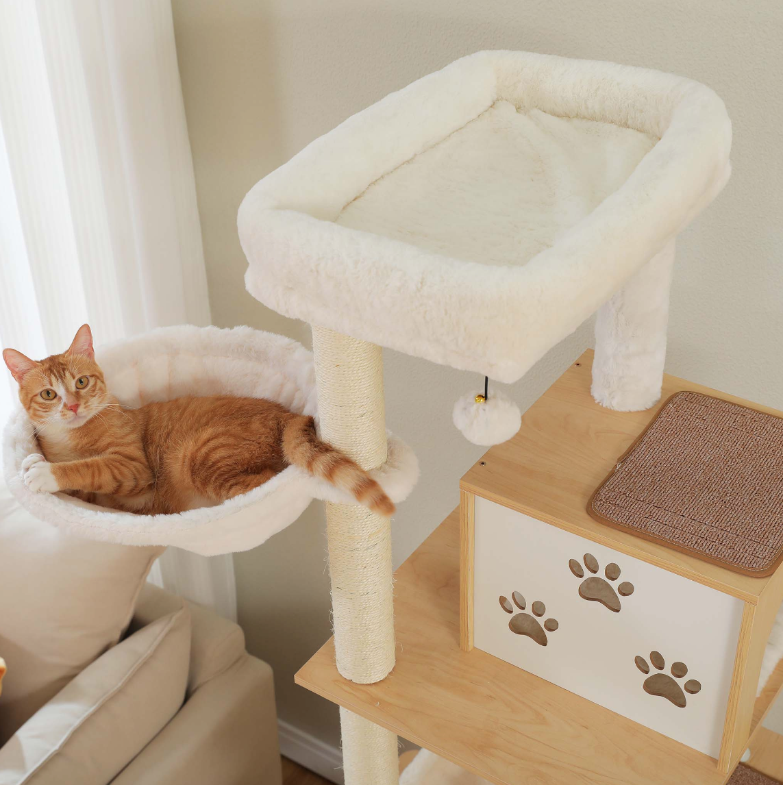 Cat reclining in the upper hammock beside the padded top bed