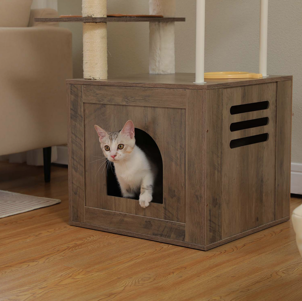 Cat looking out of the lower condo of a grey cat tree