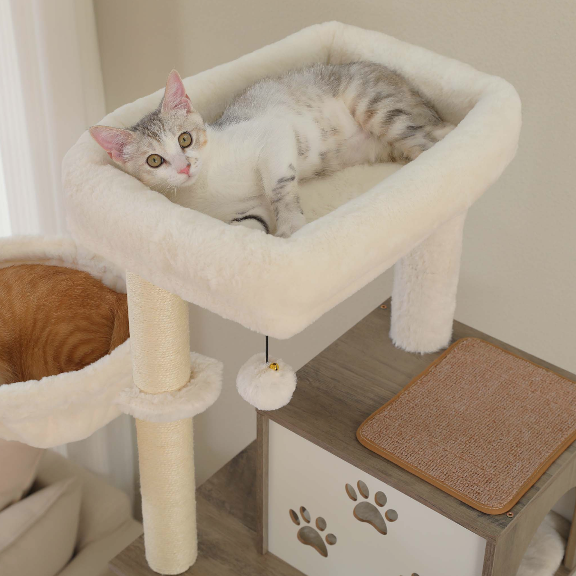 Cat lying in the padded top bed of a grey cat tree
