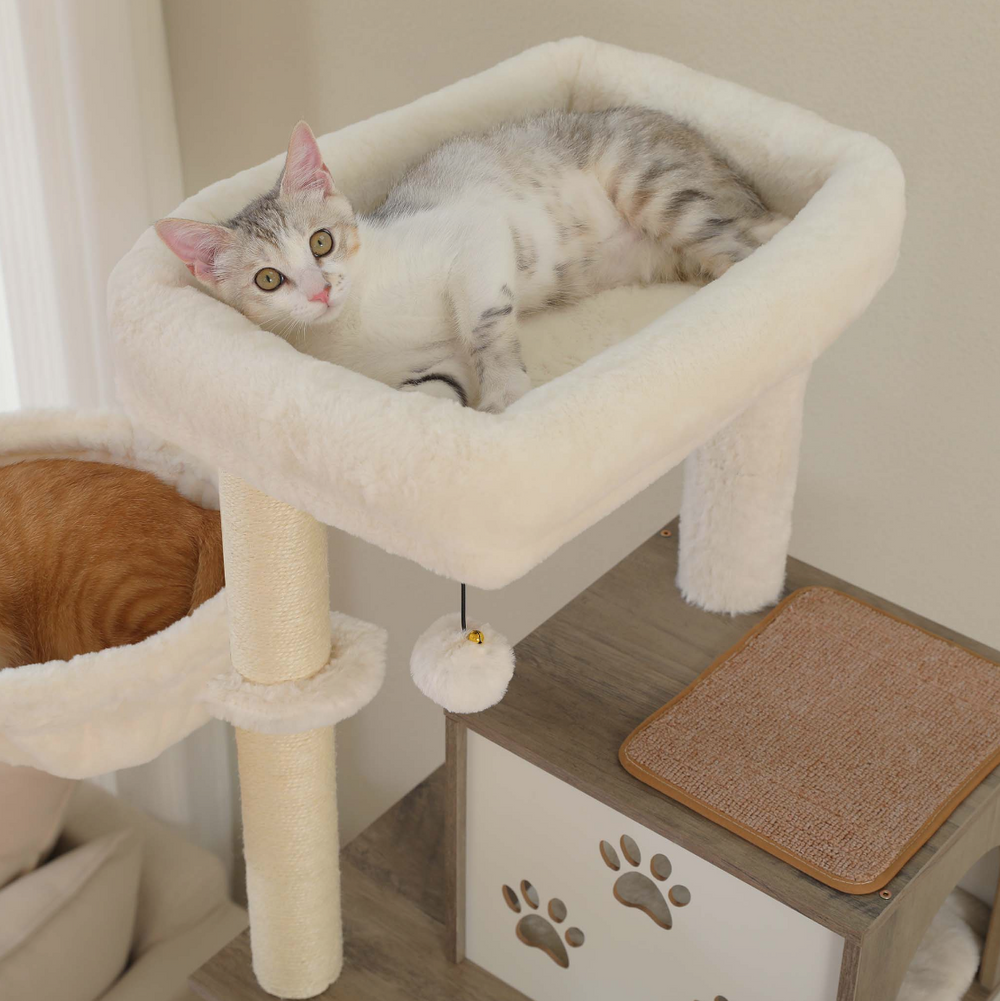 Cat lying in the padded top bed of a grey cat tree