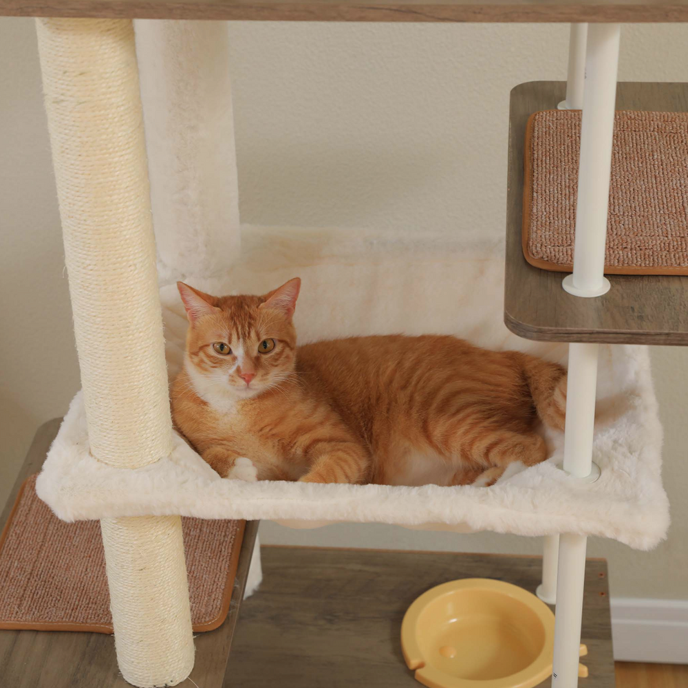 Orange cat resting in a plush hammock on a grey cat tree