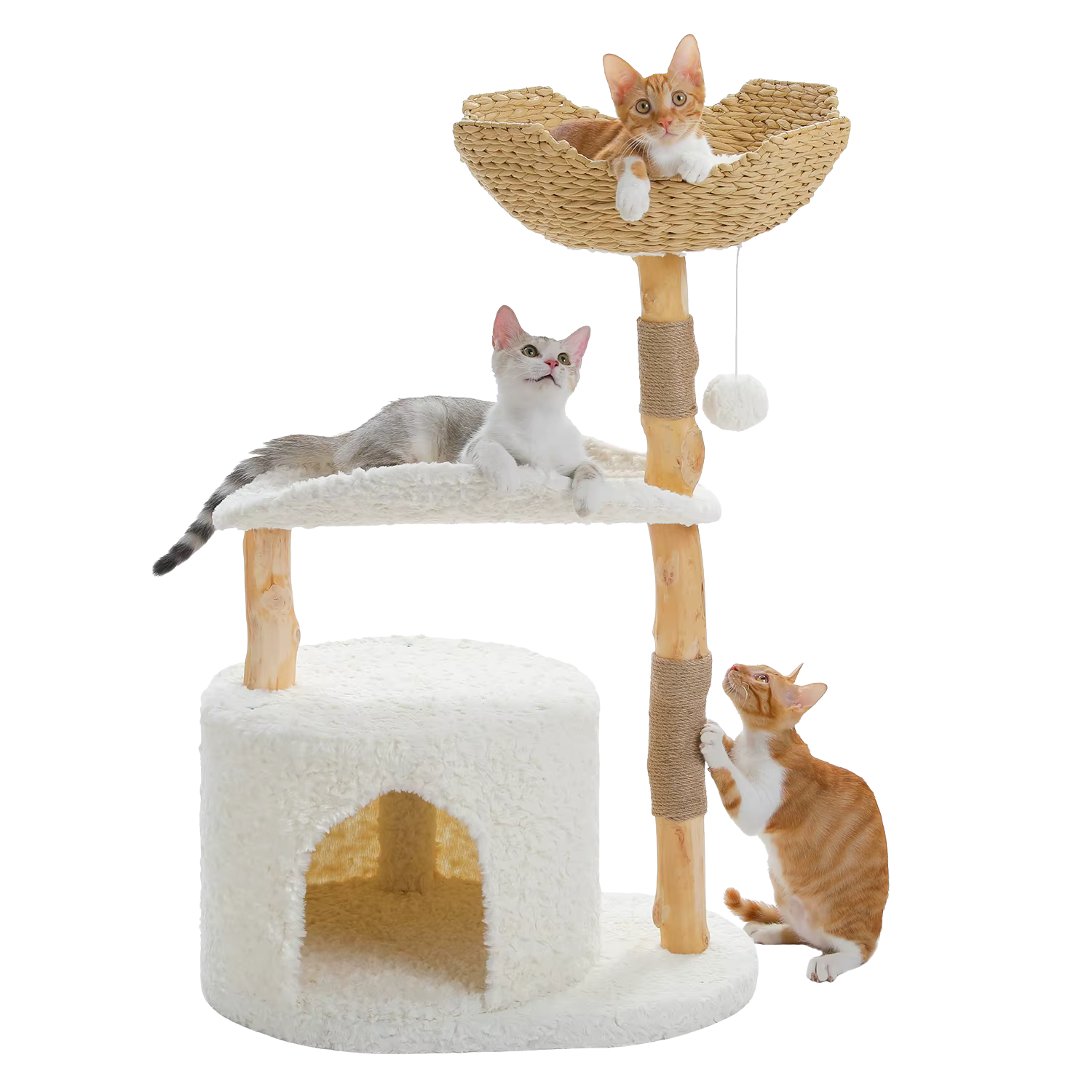 Cats on a natural wood cat tree with a woven basket, curved perch and plush condo